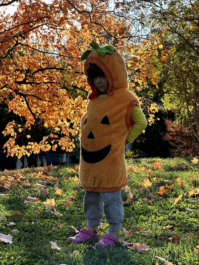 A small child in a pumpkin costume standing among autumn leaves