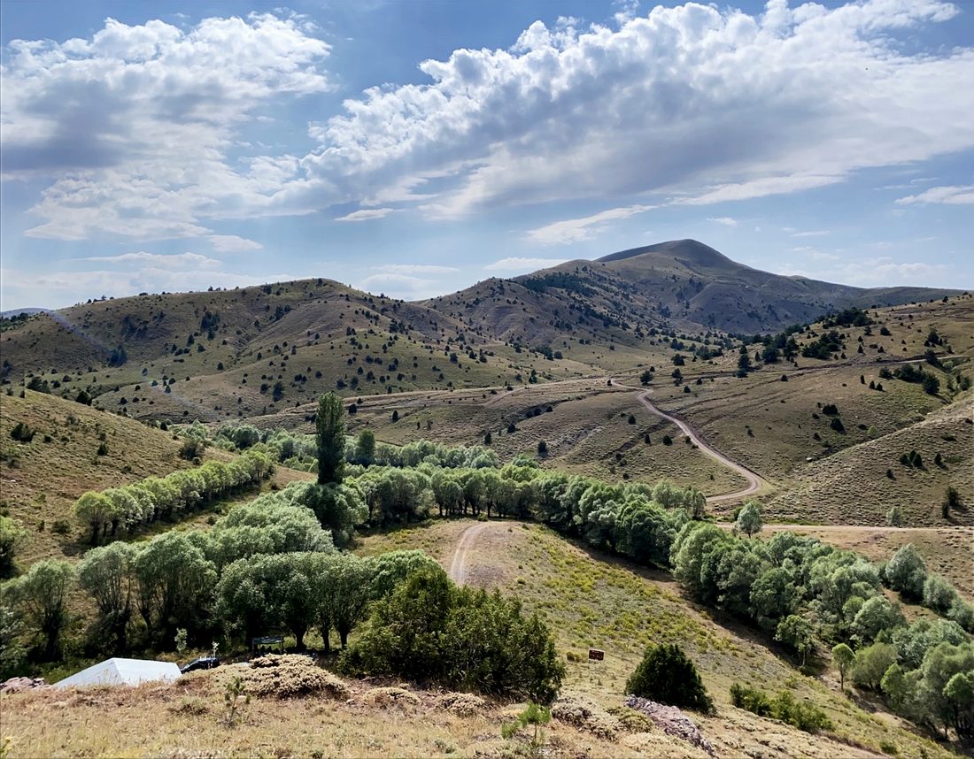 An Anatolian valley — poplars along a stream, a road winding toward the hills
